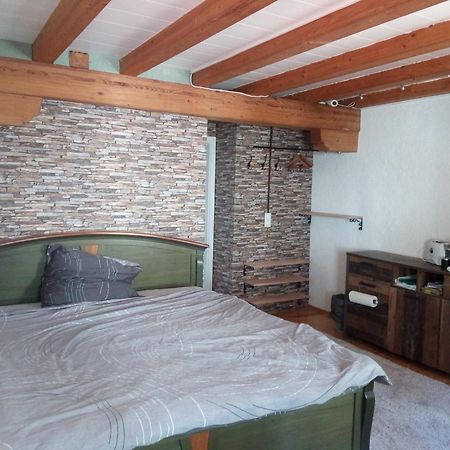 See- Und Altstadthaeusle - Alles Direkt Vor Der Haustuer - Bodenseeufer Natur Altstadt Bahnhof Bora-Sauna - Klein Und Super Zentral Zum See Oepnv Stadt Natur Etc - Appartement Historica Radolfzell am Bodensee Buitenkant foto