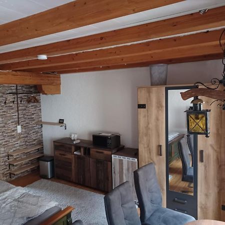 See- Und Altstadthaeusle - Alles Direkt Vor Der Haustuer - Bodenseeufer Natur Altstadt Bahnhof Bora-Sauna - Klein Und Super Zentral Zum See Oepnv Stadt Natur Etc - Appartement Historica Radolfzell am Bodensee Buitenkant foto