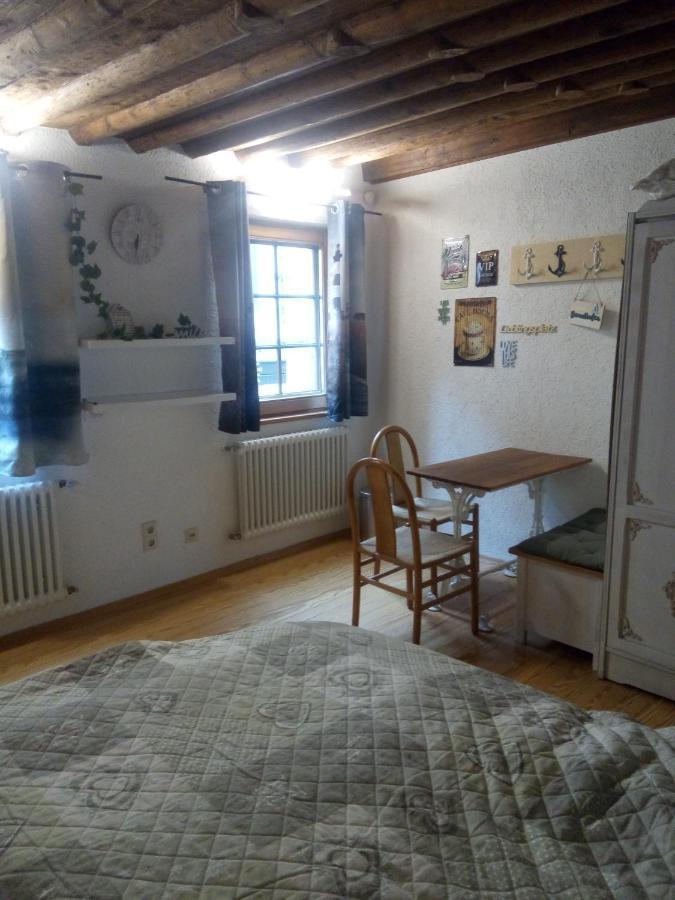 See- Und Altstadthaeusle - Alles Direkt Vor Der Haustuer - Bodenseeufer Natur Altstadt Bahnhof Bora-Sauna - Klein Und Super Zentral Zum See Oepnv Stadt Natur Etc - Appartement Historica Radolfzell am Bodensee Buitenkant foto